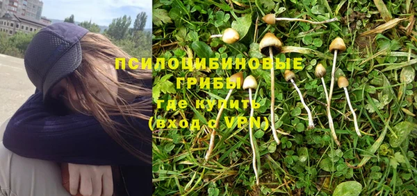 спайс Мегион