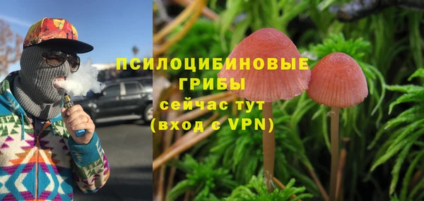 spice Медногорск