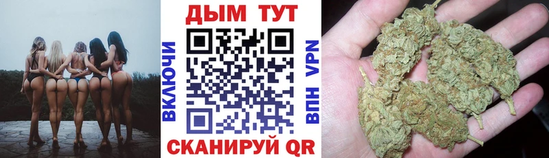 OMG ССЫЛКА  сколько стоит  Александровское  Марихуана гибрид 